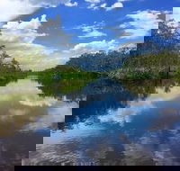 Noosa Everglades Serenity Cruise  Highlights Tour Inc. Lunch  Cruise - SA Accommodation
