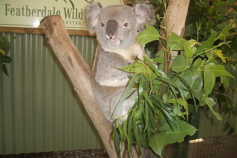 Blue Mountains Private Full-Day Tour From Sydney With Cruise - SA Accommodation 0