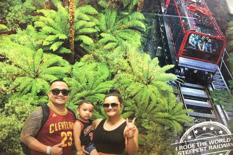 Blue Mountains Private Full-Day Tour From Sydney With Cruise - SA Accommodation 3