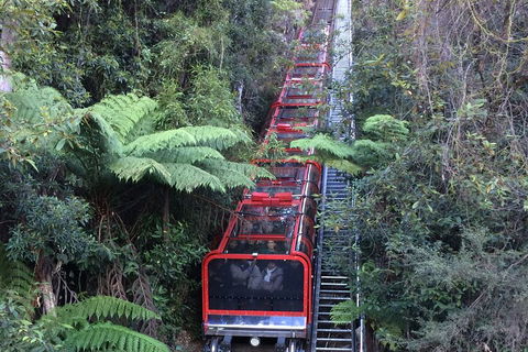 Blue Mountains Private Full-Day Tour From Sydney With Cruise - SA Accommodation 5