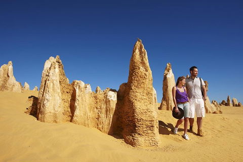 Pinnacles Day Trip From Perth Including Yanchep National Park - SA Accommodation 0