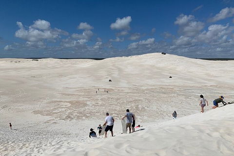 Pinnacles Day Trip From Perth Including Yanchep National Park - SA Accommodation 2