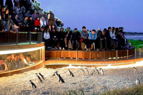 Great Ocean Road & Phillip Island - 3 Days, 2 Nights - SA Accommodation 0