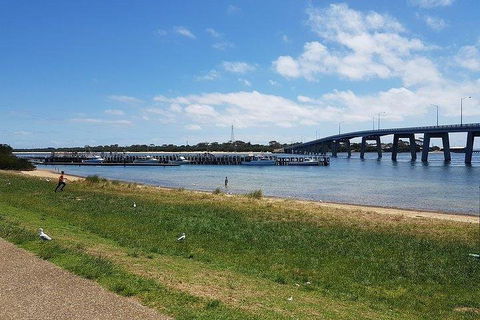 Phillip Island Penguin And Wildlife Tour - SA Accommodation 4