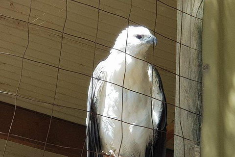 Phillip Island Penguin And Wildlife Tour - SA Accommodation 5