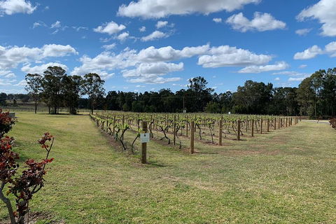Private Day Trip To Hunter Valley From Sydney With Pickup - SA Accommodation 3