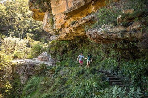 Private Guided: Blue Mountains Hiking & Nature Tour - SA Accommodation 2
