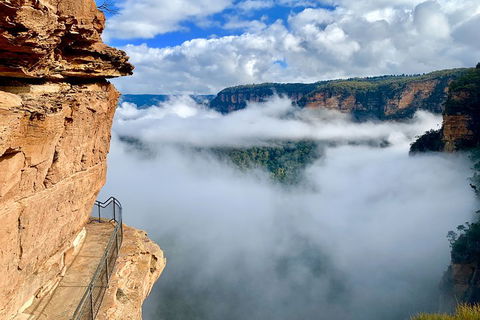 Private Guided: Blue Mountains Hiking & Nature Tour - SA Accommodation 5