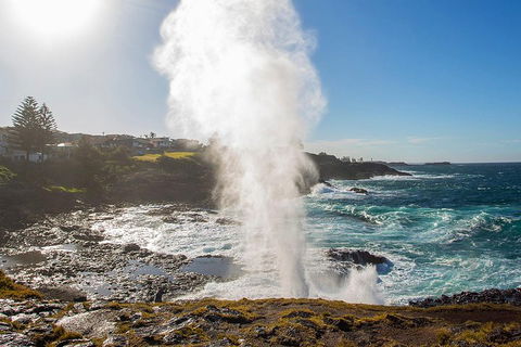Private Tour: Sydney South Coast & Highlands - SA Accommodation 2