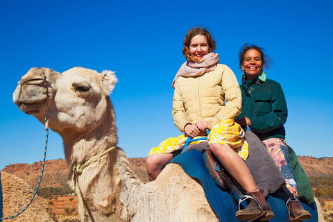 Alice Springs Camel Tour - SA Accommodation 3