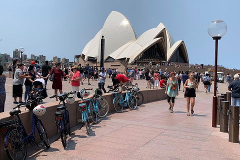 The Sydney Express - SA Accommodation 4