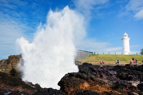 Private Grand Pacific Drive And Southern Highlands Tour - SA Accommodation 4