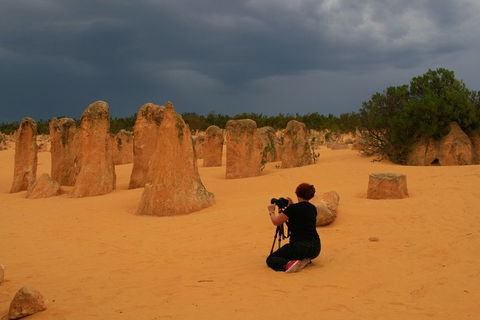 The Pinnacles, Sea And Dunescapes, Bush Reserve And Sunset Day Tour - SA Accommodation 2