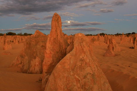 The Pinnacles, Sea And Dunescapes, Bush Reserve And Sunset Day Tour - SA Accommodation 4