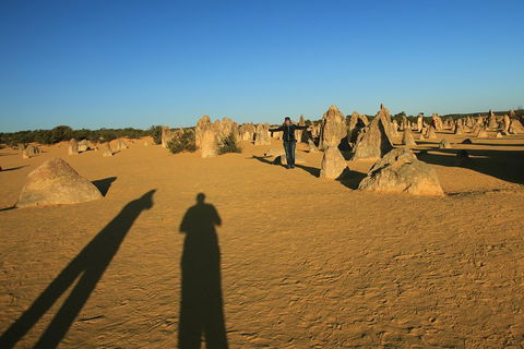 The Pinnacles, Sea And Dunescapes, Bush Reserve And Sunset Day Tour - SA Accommodation 5