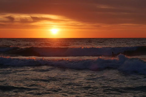 Australian Animals, Seascape And Sunset Photography Tour - SA Accommodation 5