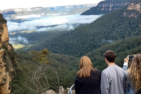 Blue Mountains Private Tour - Wild Kangaroos, Waterfalls And The Three Sisters - SA Accommodation 3