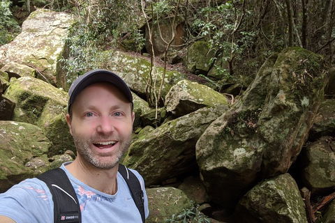 Australian Wildlife & Waterfalls Private Tour With 'Personalised Sydney Tours' - SA Accommodation 4