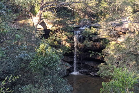 Australian Wildlife & Waterfalls Private Tour With 'Personalised Sydney Tours' - SA Accommodation 5