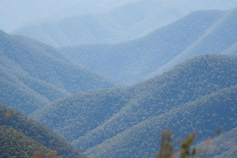 From The Mountains To The Bay - 4 Day Rediscovery Private Tour - SA Accommodation 1