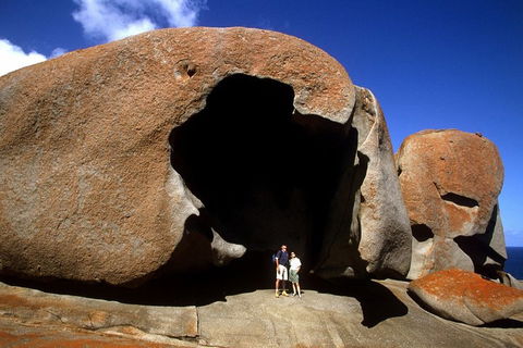 Full-Day Kangaroo Island Safari From Penneshaw - SA Accommodation 0