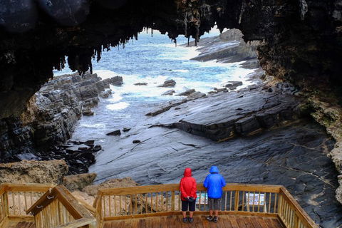 Full-Day Kangaroo Island Safari From Penneshaw - SA Accommodation 1