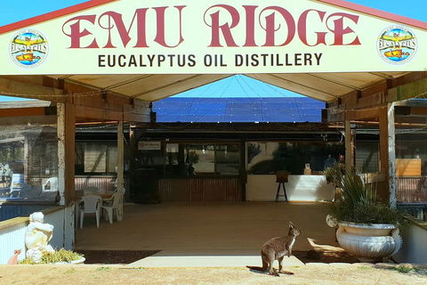 Full-Day Kangaroo Island Safari From Penneshaw - SA Accommodation 2