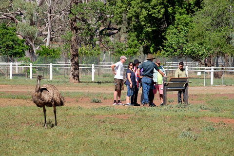 Yura Udnyu - Our Culture, Your Culture (Aboriginal Cultural Walk) - SA Accommodation 1