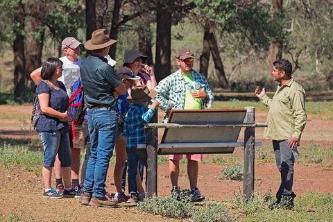 Yura Udnyu - Our Culture, Your Culture (Aboriginal Cultural Walk) - SA Accommodation 2