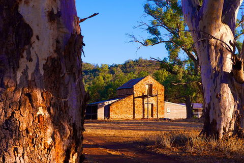 Yura Udnyu - Our Culture, Your Culture (Aboriginal Cultural Walk) - SA Accommodation 4