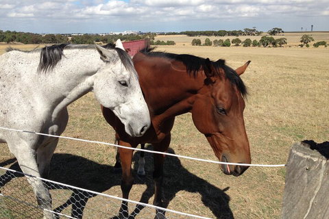 Legends & Champions Tour - SA Accommodation 1