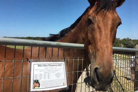 Legends & Champions Tour - SA Accommodation 4