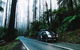 Small Group: Mornington Peninsula Hike And Hot Springs Day Tour From Melbourne - thumb 3
