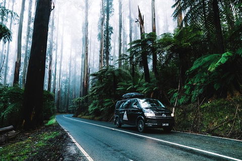 Small Group: Mornington Peninsula Hike And Hot Springs Day Tour From Melbourne - SA Accommodation 3