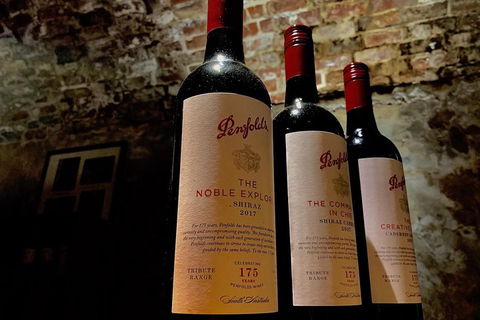 The Ultimate Penfolds Magill Estate Wine & Underground Cellar Tour - SA Accommodation 5