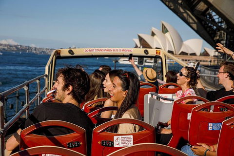 Hop-On Hop-Off Bus And PLUS 4 Merlin Attractions - SA Accommodation 1