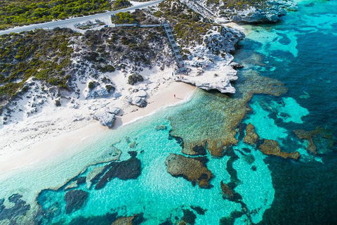 Rottnest Island Round-Trip Ferry From Perth Or Fremantle - SA Accommodation 0
