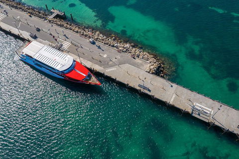 Rottnest Island Round-Trip Ferry From Perth Or Fremantle - SA Accommodation 1