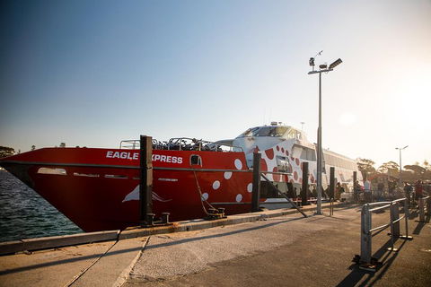 Rottnest Island Round-Trip Ferry From Perth Or Fremantle - SA Accommodation 2