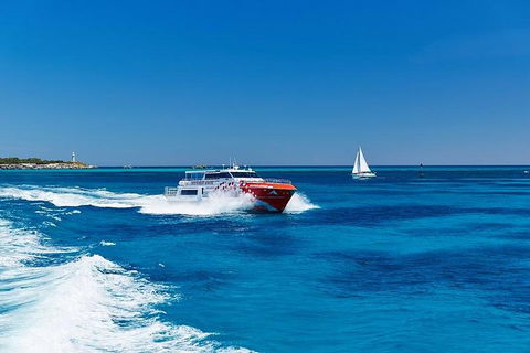 Rottnest Island Round-Trip Ferry From Perth Or Fremantle - SA Accommodation 4