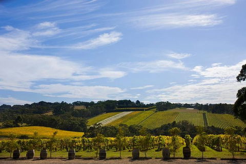 Mornington Peninsula Day Trip From Melbourne - SA Accommodation 5
