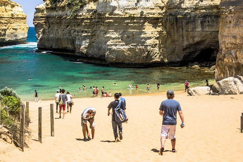 Small-Group Great Ocean Road Classic Day Tour From Melbourne - SA Accommodation 5