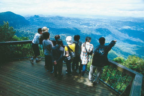 Springbrook National Park & Gold Coast Full Day Luxury Tour From Brisbane - SA Accommodation 0