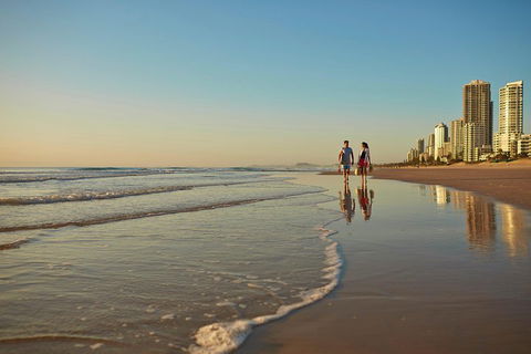 Springbrook National Park & Gold Coast Full Day Luxury Tour From Brisbane - SA Accommodation 1