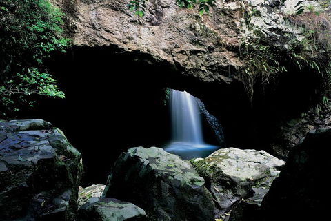 Springbrook National Park & Gold Coast Full Day Luxury Tour From Brisbane - SA Accommodation 2