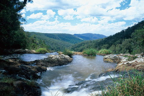 Springbrook National Park & Gold Coast Full Day Luxury Tour From Brisbane - SA Accommodation 3