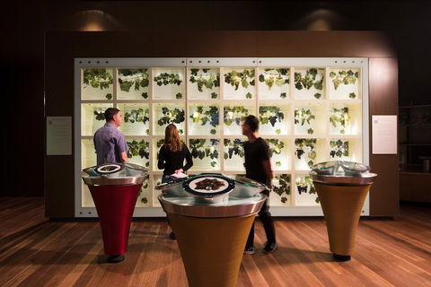 Australian Wine Discovery Tour Ticket - SA Accommodation 3