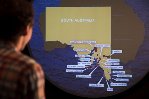 Australian Wine Discovery Tour With Tastings - SA Accommodation 3