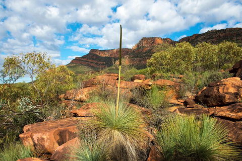 6-Day Eyre Peninsula & Flinders Ranges Adventure Tour - SA Accommodation 1