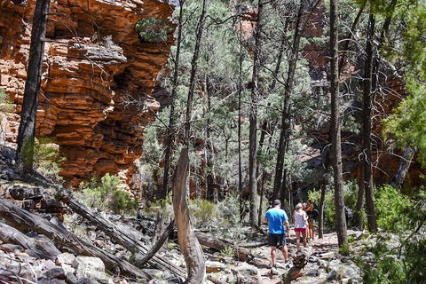 6-Day Eyre Peninsula & Flinders Ranges Adventure Tour - SA Accommodation 5